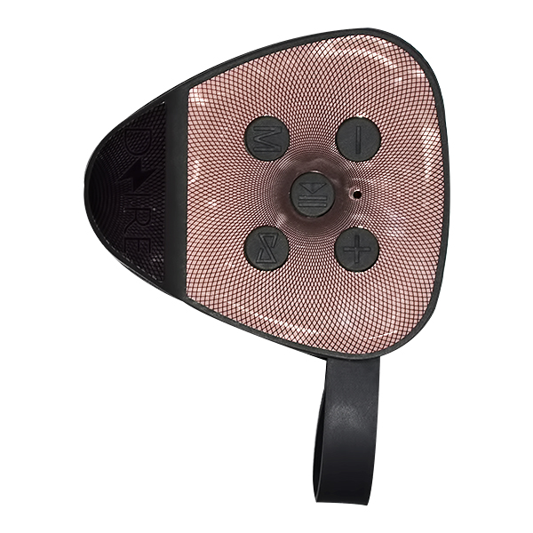 DZIRE BLUETOOTH SPEAKER WITH USB/FM/TF CARD PS-396