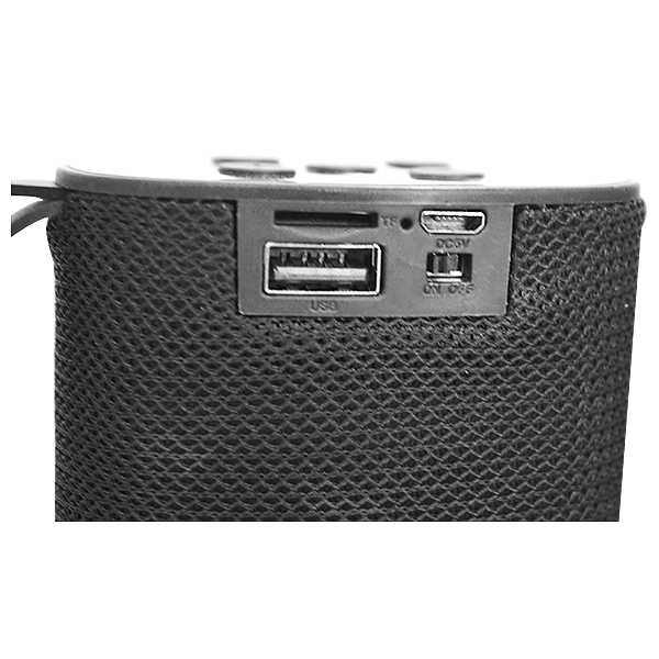 DZIRE BLUETOOTH SPEAKER WITH USB/FM/TF CARD PS-396
