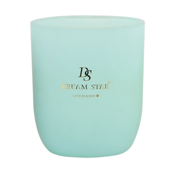 SCENTED CANDLE AROMATHERAPY VOTIVE GLASS ASSORTED 20HRS BURNING DS7080