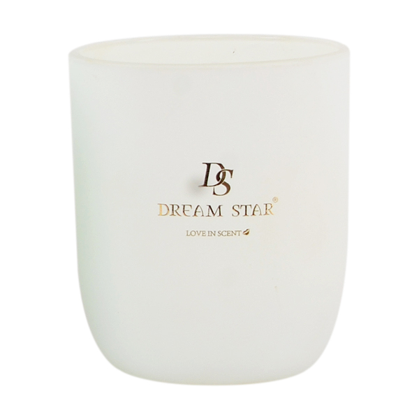 SCENTED CANDLE AROMATHERAPY VOTIVE GLASS ASSORTED 20HRS BURNING DS7080