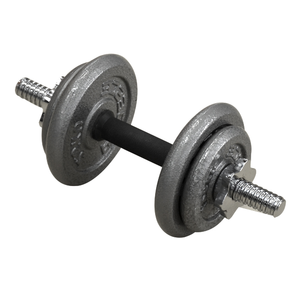 PROESCE HAMMERTONE DUMBBELL SET  20KG LDBS-213