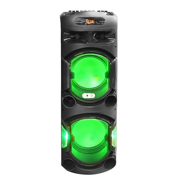 DZIRE PORTABLE HIFI SPEAKER 100W HIFI12DR-128