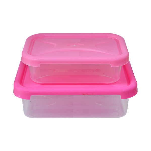 2PCS CENTURY FANCY CONTAINER SET