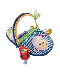 FISHER PRICE MONKEY MIRROR DYC85