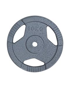 PROESCE HAMMERTONE HANDLE PLATE 10KG LKPL-106-10KG