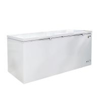 Akai Chest Freezer 560l Double Door