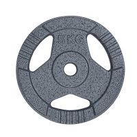 Proesce Hammertone Handle Plate 5kg Lkpl-106-5kg