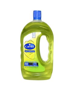 CAMEL ANTISEPTIC LIME FRESH 1L 
