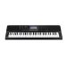 CASIO MUSICAL KEYBOARD CT-X800C2