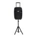 DZIRE PORTABLE HIFI SPEAKER  15" HIFI15SR-15AK
